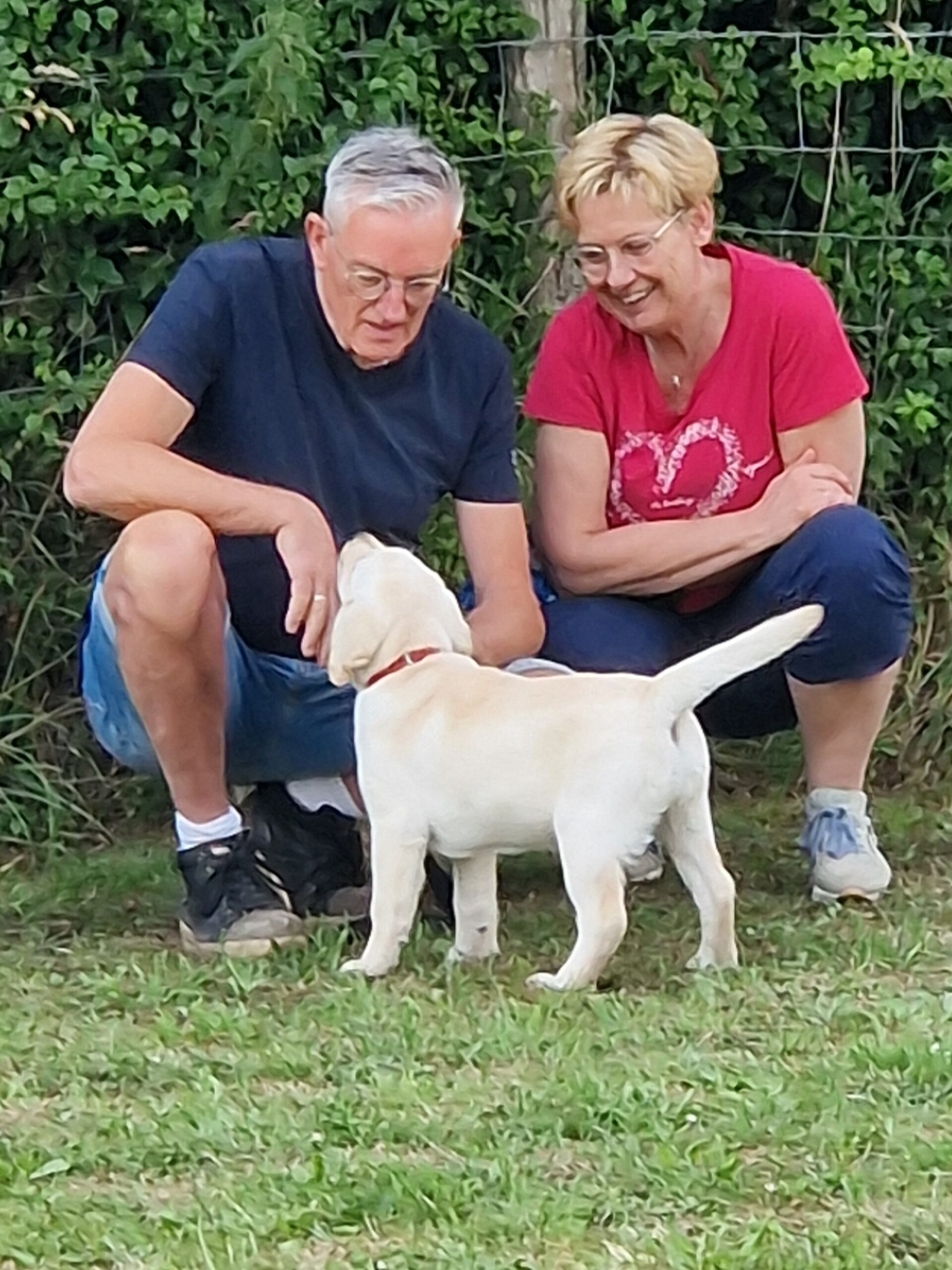 pup met eingeaar